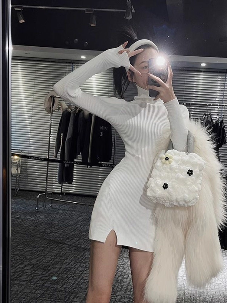 レディース ボディコン ミニニットドレス タートルネック ソ - Bodycon Long Sleeve Ribbed Dress のレビューと価格